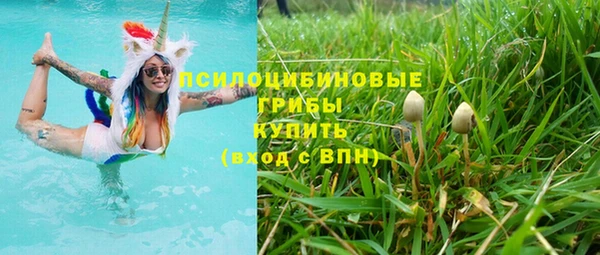 mdma Бородино